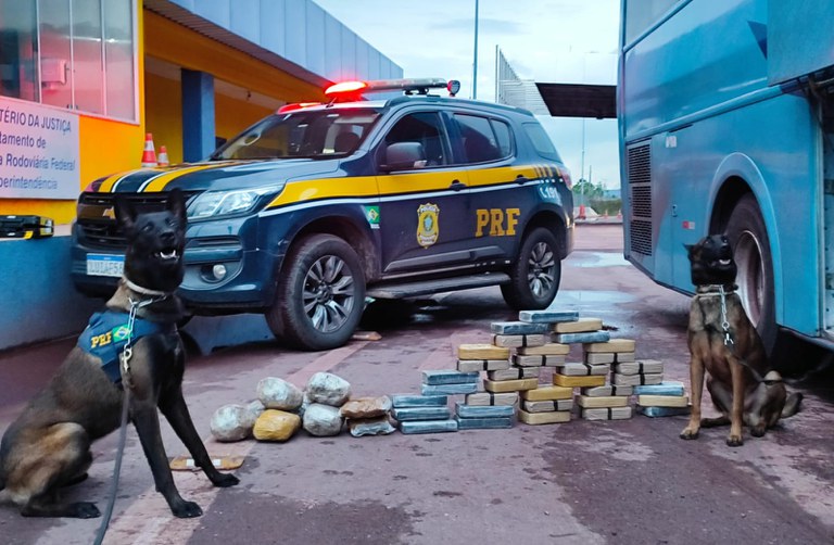 A Polícia Rodoviária Federal apreende 36 Kg de cocaína em um ônibus na BR-262 com a ajuda de cães farejadores.