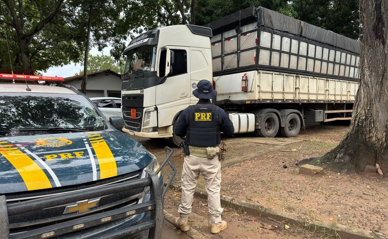 A PRF confiscou 95 m³ de carvão ilegal durante uma operação de fiscalização na BR-155, em Marabá/PA.